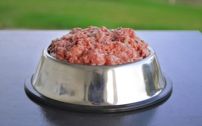 Δίαιτα BARF: τα υπέρ και τα κατά της ωμής διατροφής για κατοικίδια